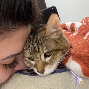 West Coast - Autumn was our world. We were blessed to have her for 21 years. Cal Pet was amazing during such a difficult time. - Pet Cremation Services Near Me - Sun Valley, California