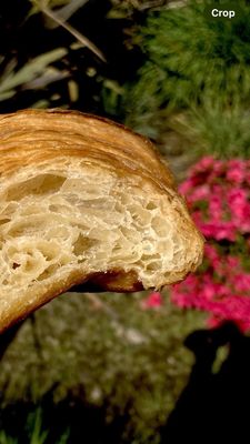 Sweet Demi Lune Bakery & Cafe by null