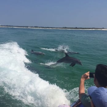 Premier Dolphin Cruise - Best cruise ever!!!! - Boating Near Me - Pensacola Beach, Florida Premier Dolphin Cruise - Best cruise ever!!!! - Boating Near Me - Pensacola Beach, Florida