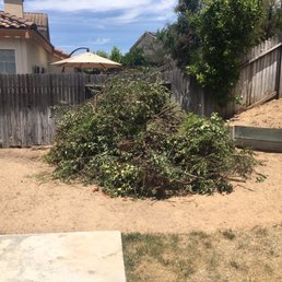 Yard waste cleared from our backyard