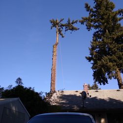 Green's Tree Service