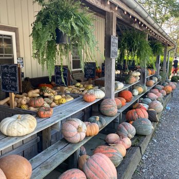 Peifer Orchards - Farmers Market Near Me - Yellow Springs, Ohio Peifer Orchards - Farmers Market Near Me - Yellow Springs, Ohio
