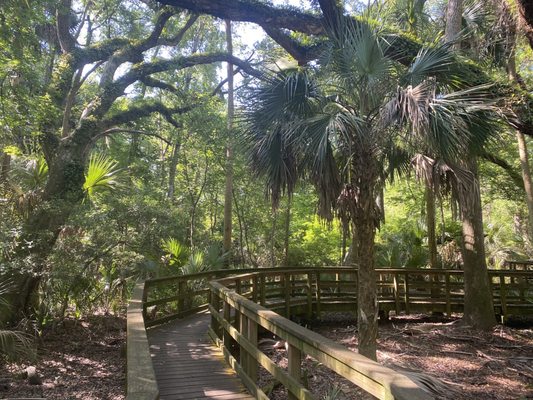 Sea Pines Forest Preserve by null