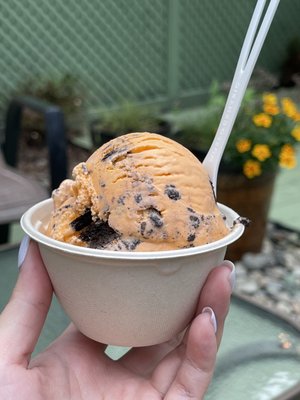 Alleyway Ice Cream by null