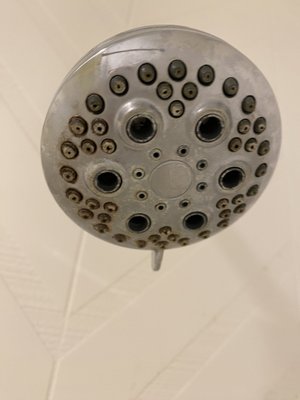 Quality Inn & Suites Gilroy by null