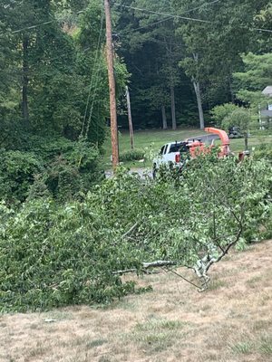 Tree Pruning/Trimming - We encourage tree pruning and trimming to allow trees to develop a strong structure and reduce the likelihood of damage during severe weather. It is very important to remove broken or damaged limbs and this can also allow more symmetrical growth.