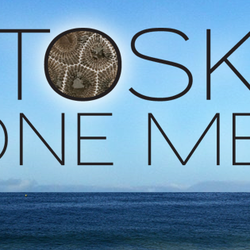 Petoskey Stone Media
