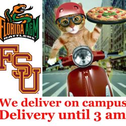 Five Star Pizza