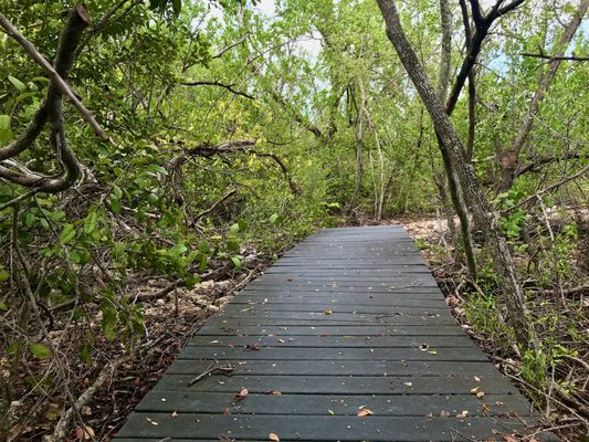 Wild Bird Sanctuary - Florida Keys Wild Bird Center by null