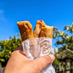 Huong Lan Sandwiches - Egg rolls