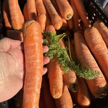 Irvine Farmers Market - Wow. - Farmers Market Near Me - Irvine, California Irvine Farmers Market - Wow. - Farmers Market Near Me - Irvine, California