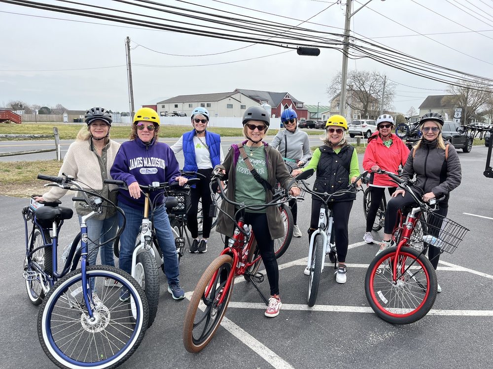 PEDEGO ELECTRIC BIKES LEWES Updated September 2024 11 Photos & 13