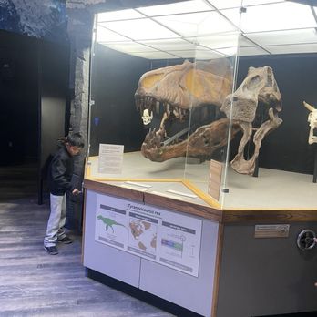Pacific Science Center - Museums Near Me - Seattle, Washington Pacific Science Center - Museums Near Me - Seattle, Washington