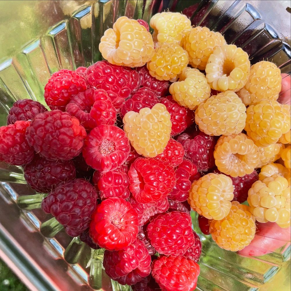 Donaldson Farms - Fruits & Veggies Near Me - Hackettstown, New Jersey