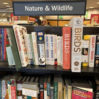 Barnes & Noble - Bookstores Near Me - Houston, Texas Barnes & Noble - Bookstores Near Me - Houston, Texas