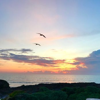 Zamas - Sharing the first sunrise with these pelicans. - Hotels Near Me - Tulum, ROO Zamas - Sharing the first sunrise with these pelicans. - Hotels Near Me - Tulum, ROO