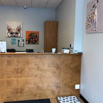 United Veterinary Center - Welcome reception desk - Veterinarians Near Me - Norwalk, Connecticut United Veterinary Center - Welcome reception desk - Veterinarians Near Me - Norwalk, Connecticut