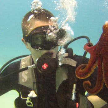 Oahu Diving - Me and a lil' octopus chillin' - Scuba Diving Near Me - Honolulu, Hawaii Oahu Diving - Me and a lil' octopus chillin' - Scuba Diving Near Me - Honolulu, Hawaii