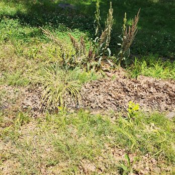 Let There Be Lawn - Lawn Services Near Me - Muskogee, Oklahoma