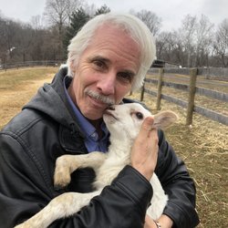 Hidden Creek Farm - The owners of the farm let me hold their one week old baby lamb and I absolutely love her!!!!