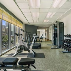 Embassy Suites by Hilton Houston Downtown - Health club  fitness center  gym