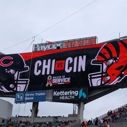 Cincinnati Bengals