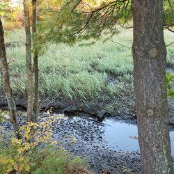 Scarborough River Wildlife Sanctuary