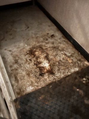 Oh St Joseph Resort Hotel by null