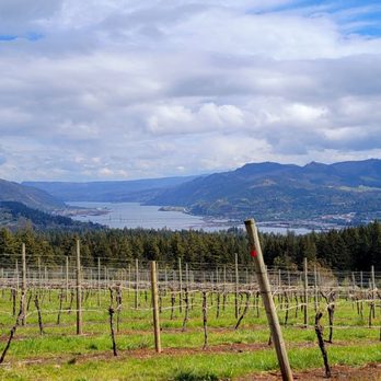 AniChe Cellars - Vineyards - Wine Bars Near Me - Underwood, Washington