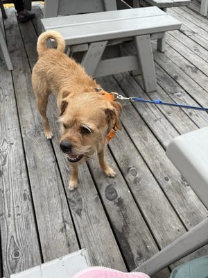 The South Shore Fish Shack by null