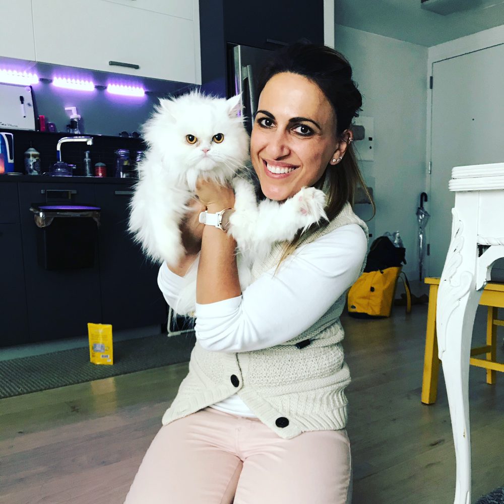 HOUSE CALL VET 35 Photos & 14 Reviews Queens, New York Yelp