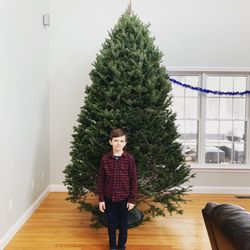 Buzz And Thrive Gardens - Christmas tree picked up from buzz and thrive this morning!