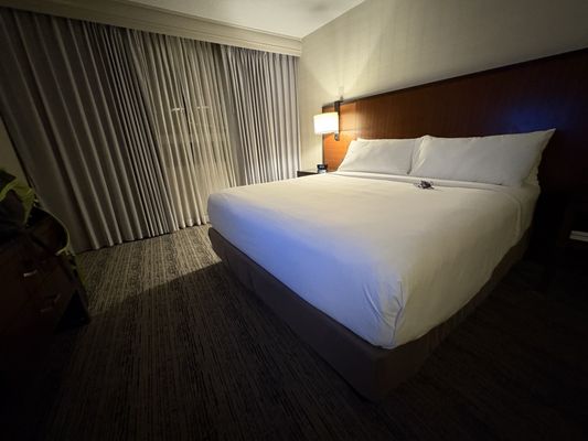 Houston Airport Marriott at George Bush Intercontinental by null