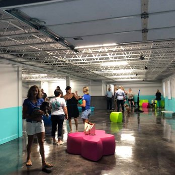 Club DiOGi - Pet Groomers Near Me - Atlanta, Georgia