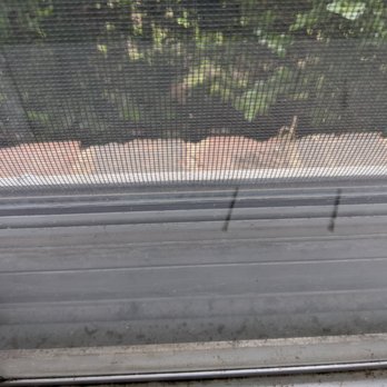 Sparkly Maids - Windowsills still had dead bugs and cobwebs - Home Cleaning Near Me - Dallas, Texas Sparkly Maids - Windowsills still had dead bugs and cobwebs - Home Cleaning Near Me - Dallas, Texas