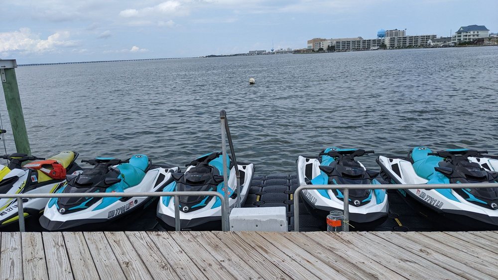 BACK BAY ADVENTURES Updated October 2024 17 Photos & 18 Reviews