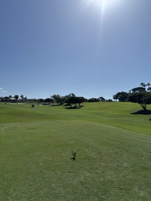 Monarch Beach Golf Links by null