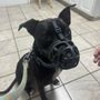 Photo of Clevengers Corner Veterinary Care