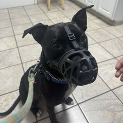 Clevengers Corner Veterinary Care