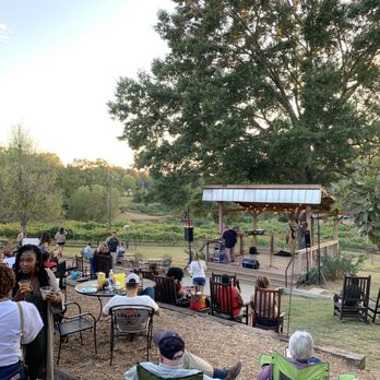 Treehouse Vineyards - Outdoor area - Vineyard in the back - Venues & Event Spaces Near Me - Monroe, North Carolina