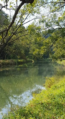 Eden Mill Nature Center by null