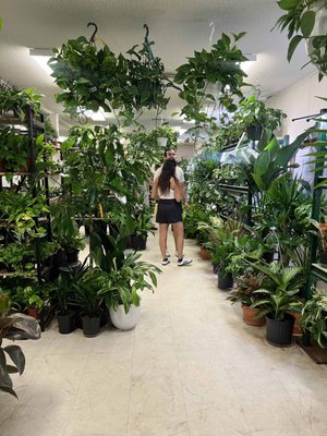 Chelsea Garden Center by null