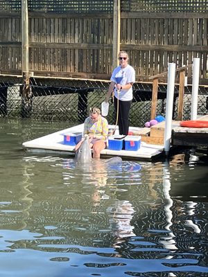 Dolphin Research Center by null