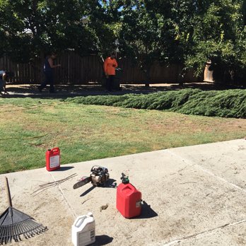Mountain Tree Service - Top of the 2nd tree....BYE TREE! - Tree Services Near Me - Vacaville, California
