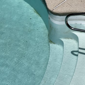 Yummy Pools - Poor quality cleaning by stairs. Third visit since opening. - Pool Cleaners Near Me Yummy Pools - Poor quality cleaning by stairs. Third visit since opening. - Pool Cleaners Near Me
