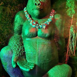 Tiki Republik