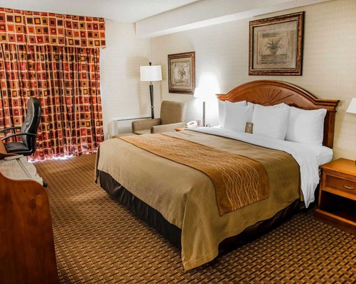 Comfort Inn Toronto Northeast 45 Photos Hotels 8330 Woodbine