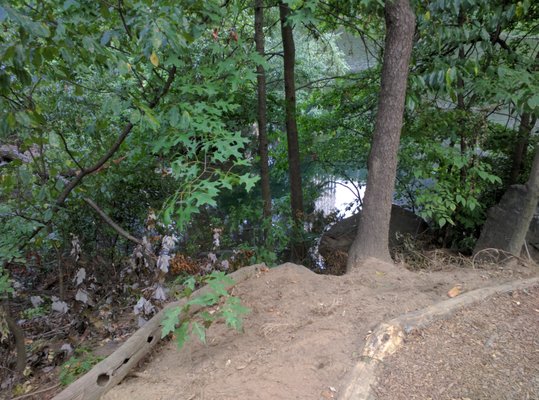 Hallett Nature Sanctuary by null