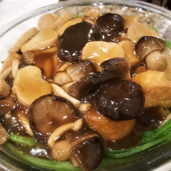 Wing Kee - sof tofu with mushroom - Cantonese Near Me - Houston, Texas Wing Kee - sof tofu with mushroom - Cantonese Near Me - Houston, Texas