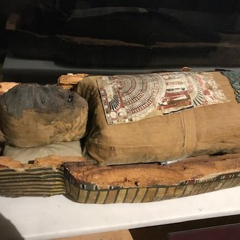 Milwaukee Public Museum - Mummy - Museums Near Me - Milwaukee, Wisconsin Milwaukee Public Museum - Mummy - Museums Near Me - Milwaukee, Wisconsin